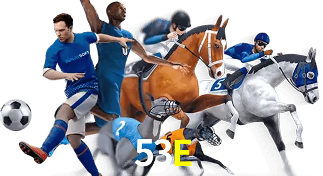 53E
